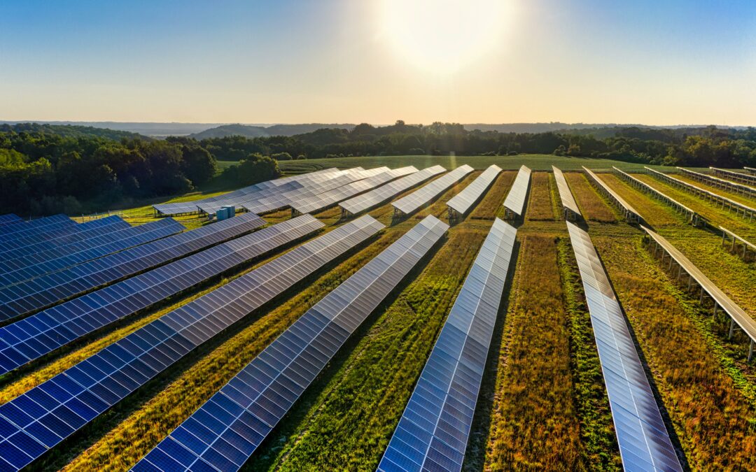 Energie solaire : Quand la lumière du soleil devient votre meilleur artisan