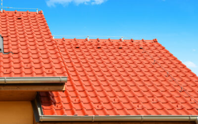 Entretien de toiture : quelles sont les mesures indispensables à prendre ? – PPF