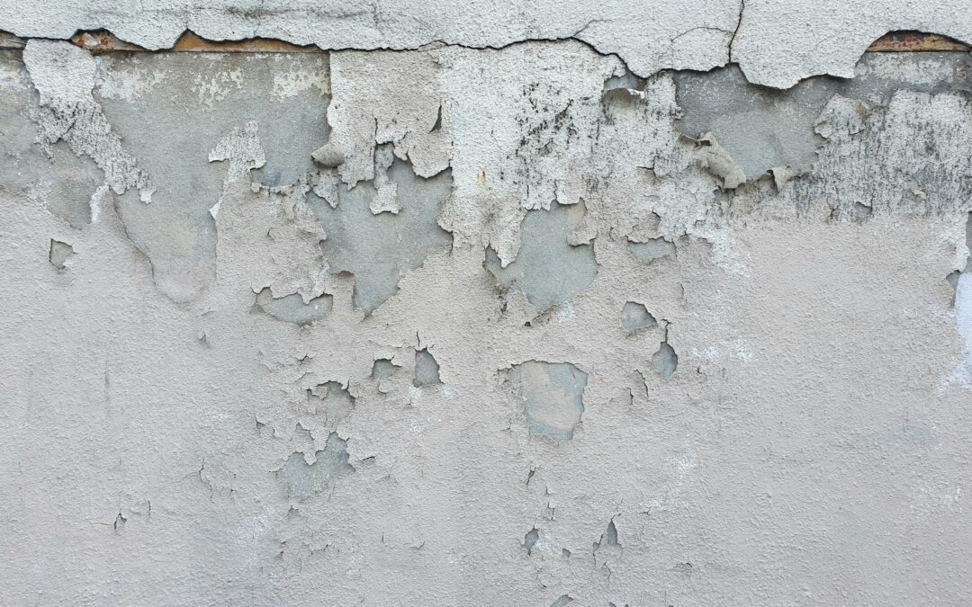 Humidité dans les murs : Comment l’identifier et s’en débarrasser durablement ?