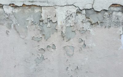 Humidité dans les murs : Comment l’identifier et s’en débarrasser durablement ?