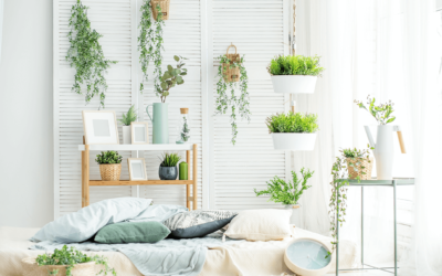 Comment réaliser un jardin à l’intérieur de votre maison ? – PPF