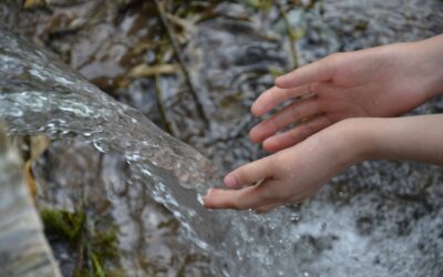 Traitement de l’eau : pourquoi la qualité de votre eau potable change tout ?