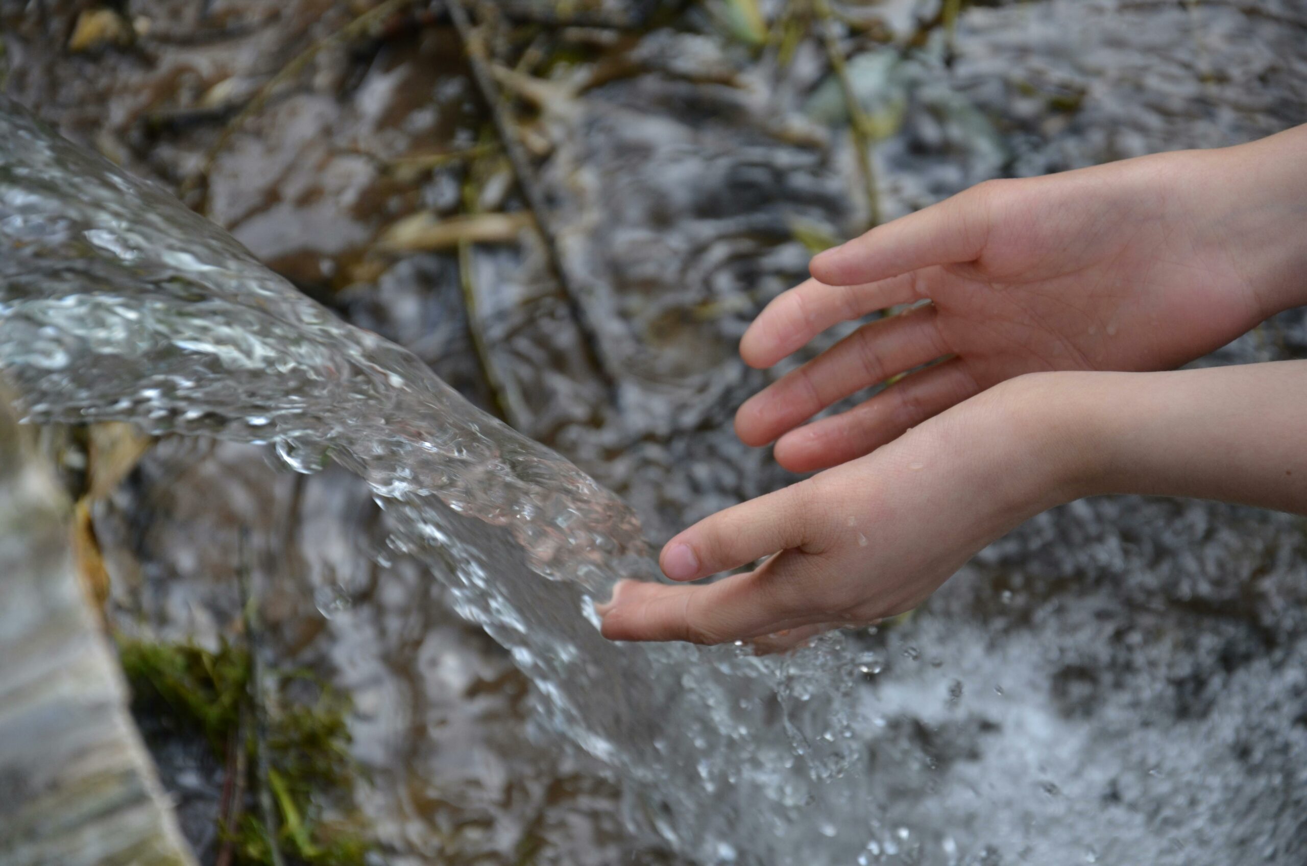traitement eau traitement eau